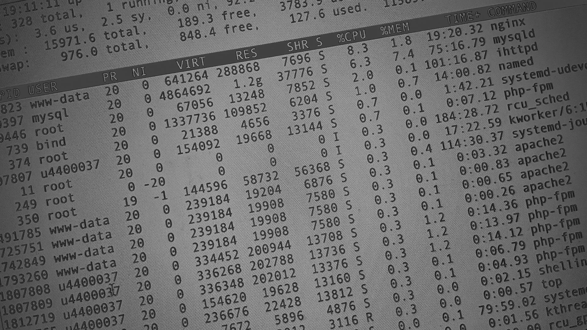 Настройка сервера в Россоши