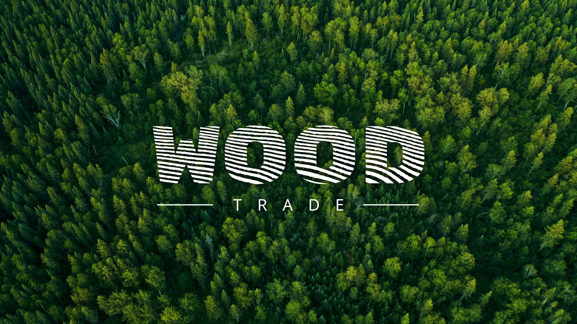 Разработка интернет-магазина компании «Wood Trade» в Россоши